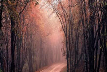 竞技对决中谁将脱颖而出备受关注